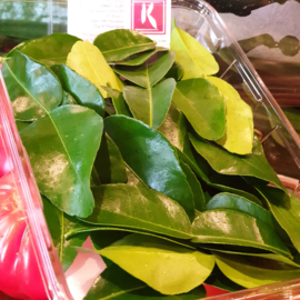 Kaffir blad / Vers / Kaffir / kafir | Lime leaves / Lemonblad / Koppert cress - NL | 2 x 25 blaadjes