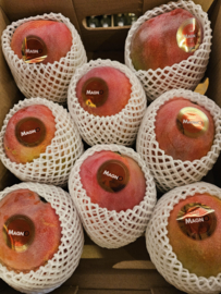 Mango Kent - vliegtuig Peru | per stuk