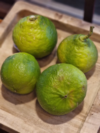 Bergamot | Bergamotto | Onbehandeld | Amalfi-Italie  | 1 KILO (ca 4-5 stuks ) / Uitverkocht - seizoen voorbij