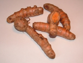 Kurkuma / Geelwortel / Kurkumin / Curcuma / Koenjit / Turmeric / Vers /  *Peru  / 1x4 kilo