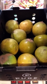 Lucuma zapote / verse vruchten / Inca Goud / Peru / doosje ca 1,5 kilo (ongeveer 7-9 stuks)