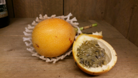 GRENADILLA | GRANADILLA | GRENADILLE | LEMI WAI | ZOETE PASSIEVRUCHT | COLOMBIA | doos 2 KILO (ca 15-20stuks afhankelijk van de maat)