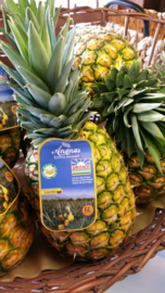 Extra sweet ananas | Costa Rica / per doos 5 stuks (11 kilo)