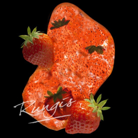 Aardbeien Purée | 90% fruit - 10% suiker | Ponthier | zak 1000ml / t.h.t. 30-04-2025