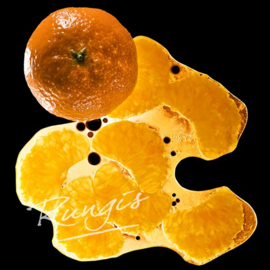 Mandarijnen Purée / sap | 100% fruit | Ponthier | zak 1000ml / t.h.t. 01-05-2024