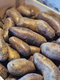 TRUFFELAARDAPPEL | VRIJ VAST | NL | 1 KILO