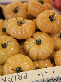 Marmande tomaten geel | tomaat | Frankrijk | 500gram (ca 2-3 stuks)