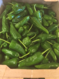 Padrón  pepers / Piementos de Padron| NL/ 250gram