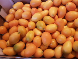 Kumquat | Onbehandeld |  Mini sinaasappel | Kumquats | Spanje | Doos 2 kg