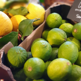 Limes | limoen | MEXICO | doos 4 kilo (54 stuks)