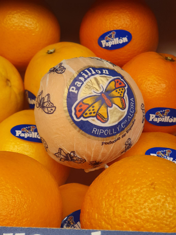 Sinaasappelen Navelina |  Papillon | voor de hand | Spanje | 5 stuks