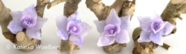 Glaskunst - glazen bloemen: Orchideeen