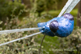 Mixed Media Glaskunst: Libelle tuinbeeld met glas