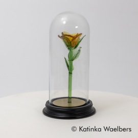 Glazen roos onder stolp: gouden liefde