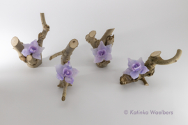 Glaskunst - glazen bloemen: Orchideeen