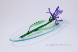 Glaskunst - glazen bloemen: paarse iris