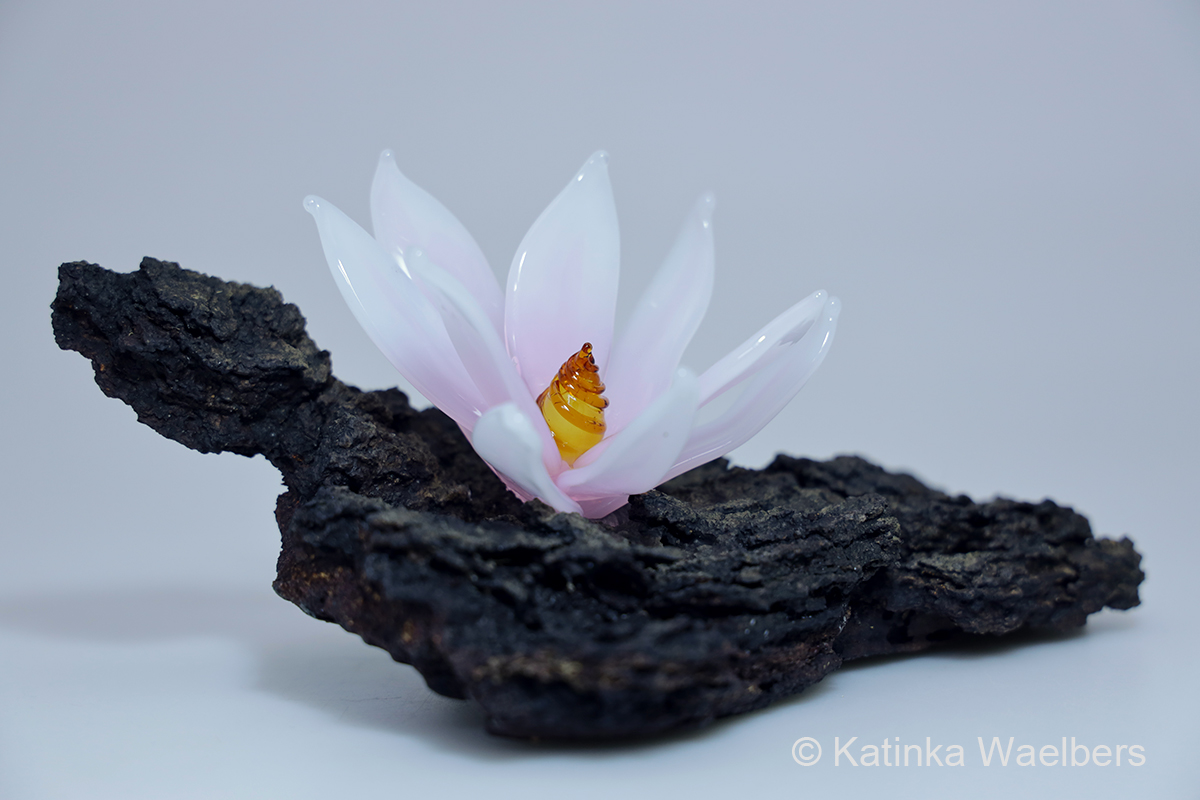 Glaskunst - glazen bloem: Magnolia
