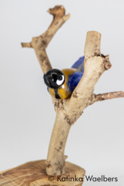 Glazen beeld: koolmeesje van glas op tak