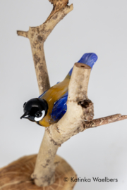 Glazen beeld: koolmeesje van glas op tak