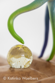 Beeld van verschillende materialen: Trust