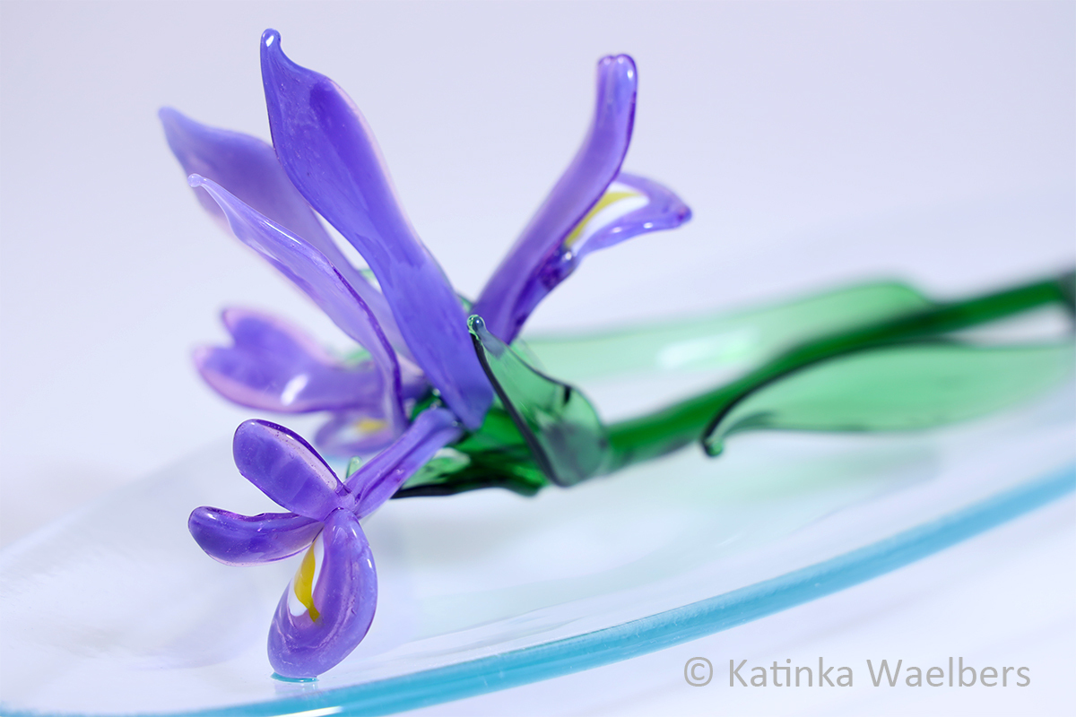 Blauwe iris glas