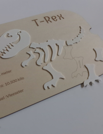 Trofast Insert  T-Rex