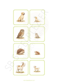 PDF Verbanden leggen - Jonge dieren