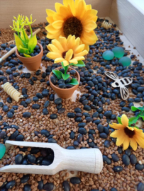 Sensorisch Pakket Zonnebloemen