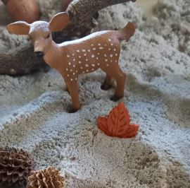 Sensorische Super Speelset Herfst in het Bos