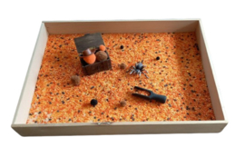 Thema Pakket Spooky Spider