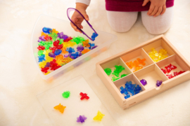 Tickit Doorschijnende Gekleurde Insecten 24 st. Rainbow