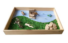 Complete Sensorische Speelset Bevers