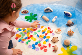 Tickit Doorschijnende Gekleurde Schelpen 24 st. Rainbow