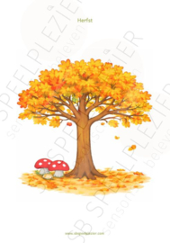 PDF Het jaar rond - De boom in elk seizoen