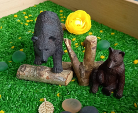 Super Thema Pakket Beer en Papa Beer