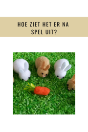 Vraag: Hoe ziet het er na het spel uit?