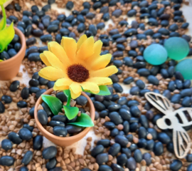 Sensorisch Pakket Zonnebloemen