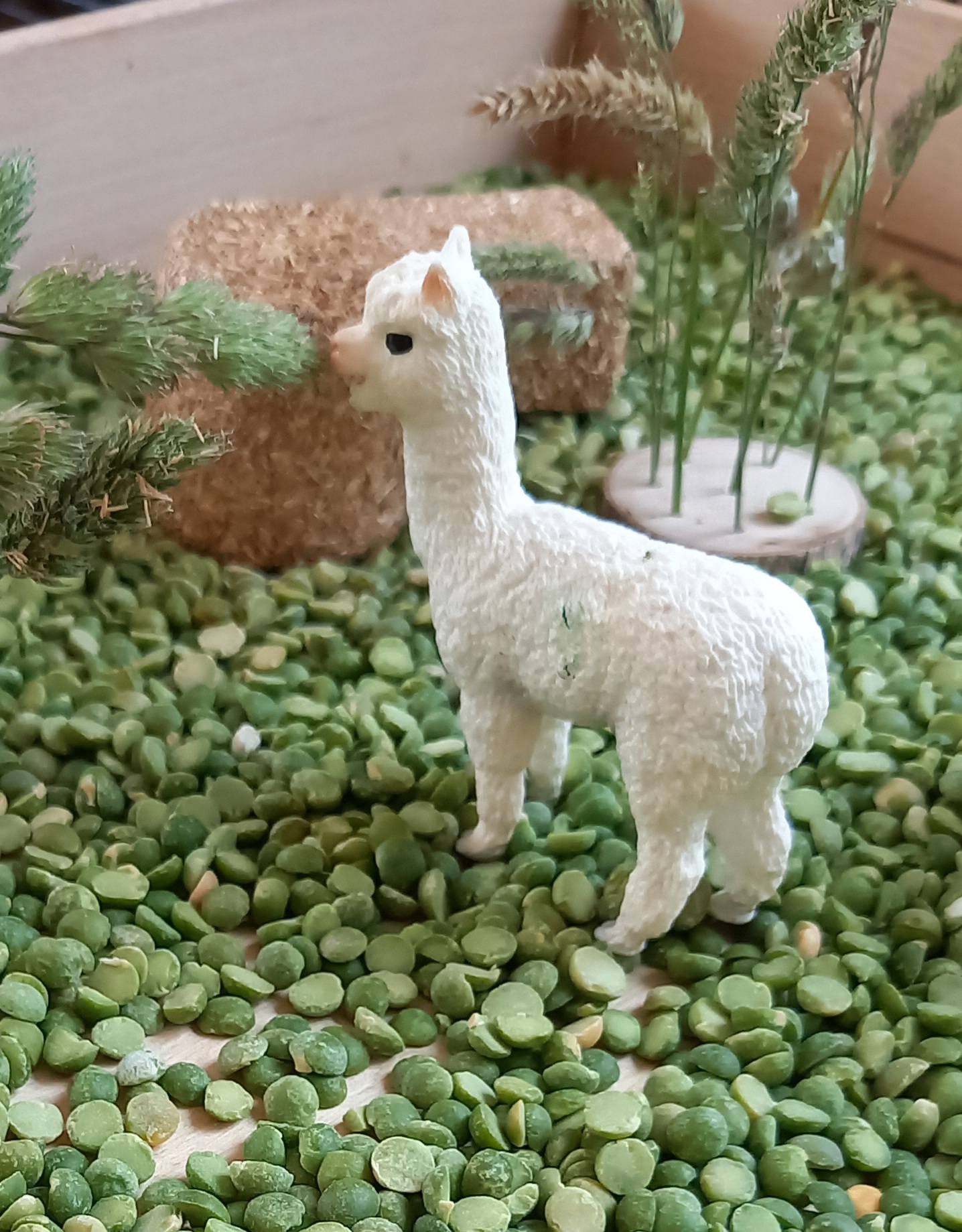 Complete Sensorische Speelset Alpaca's Nature
