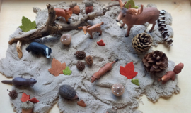 Sensorische Super Speelset Herfst in het Bos