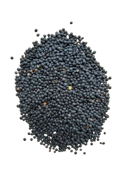 Beluga Linzen 250 gr.