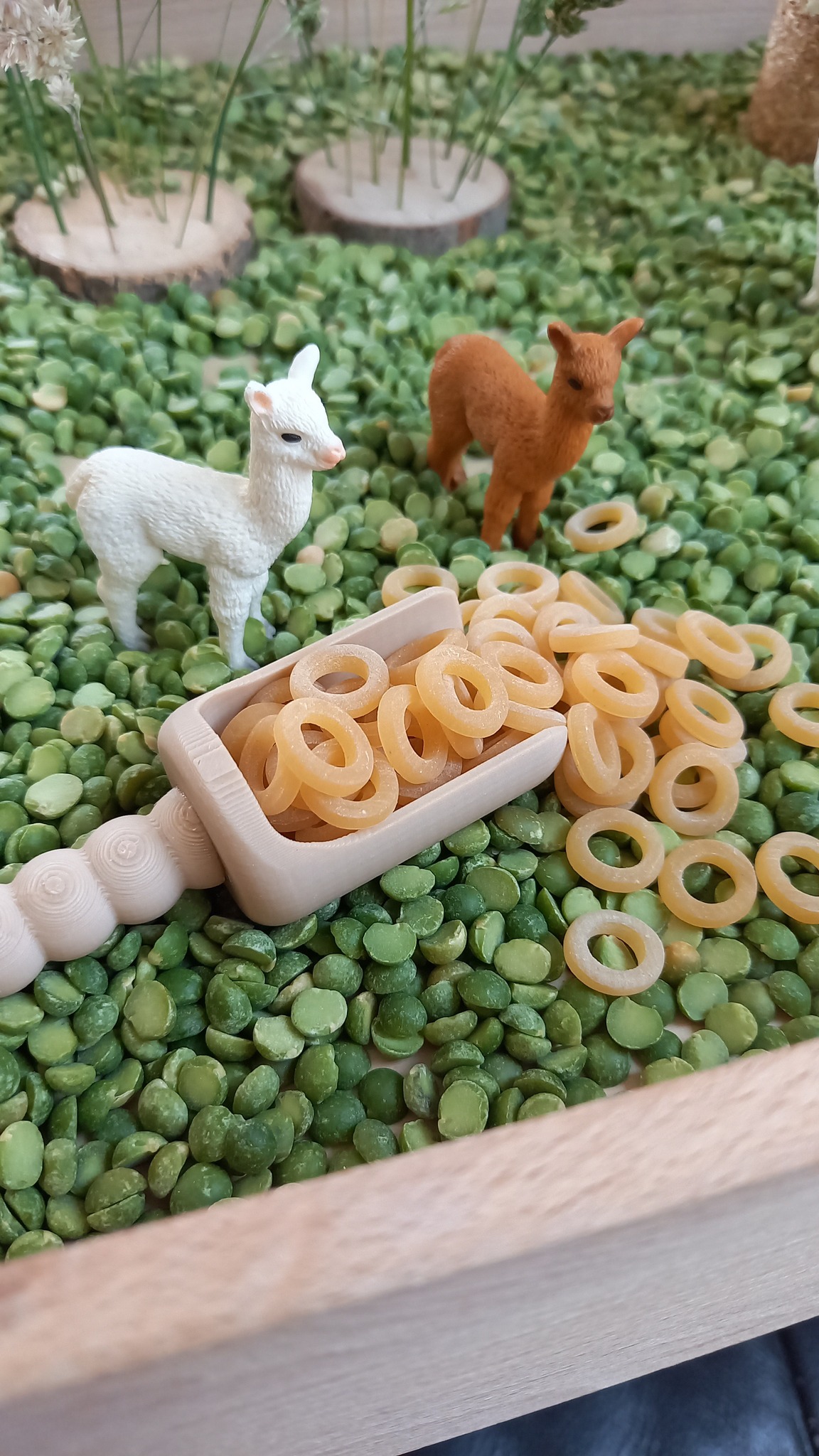Complete Sensorische Speelset Alpaca's Nature