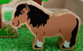Houten Pony Lanka