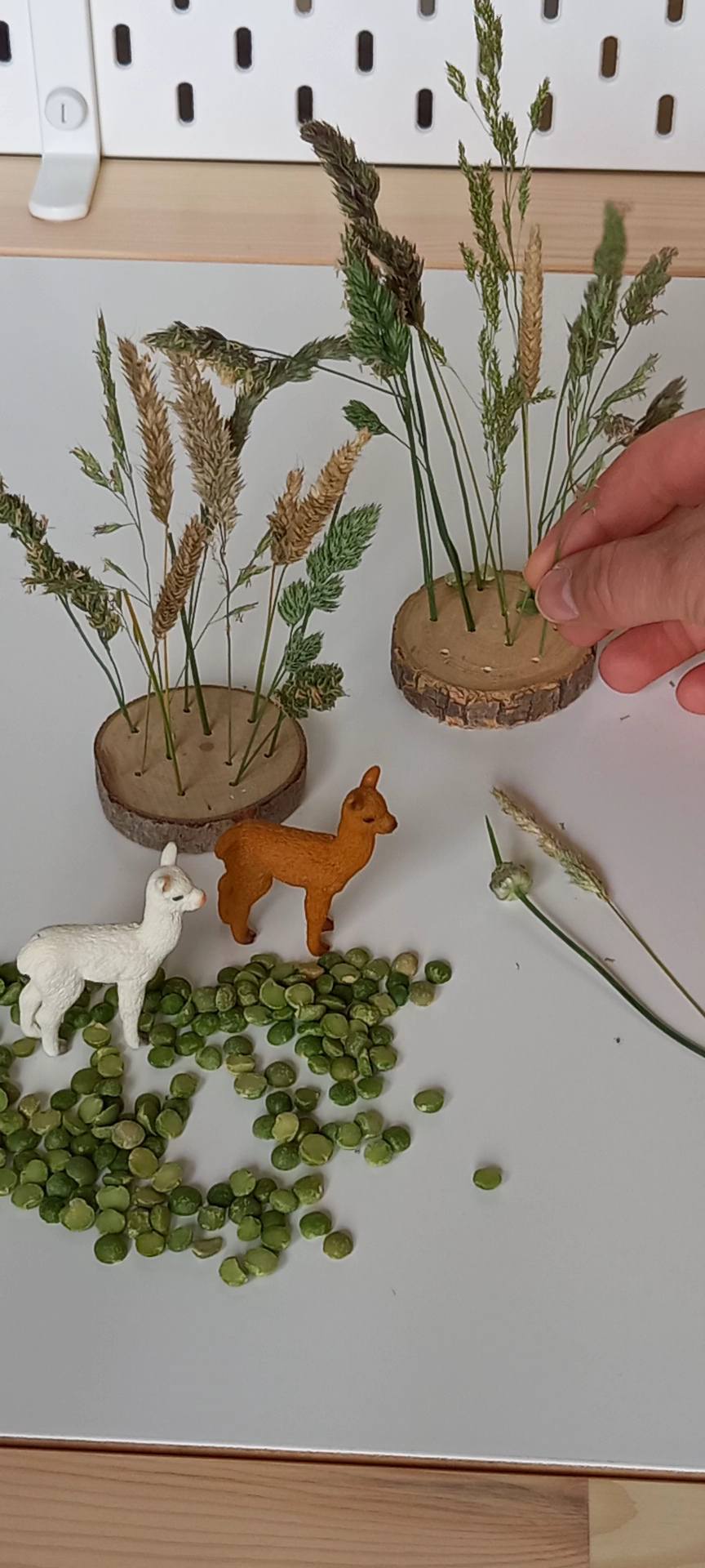 Complete Sensorische Speelset Alpaca's Nature