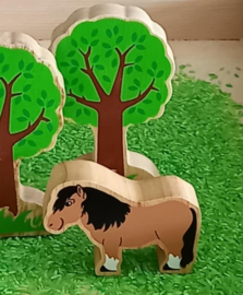 Houten Pony Lanka