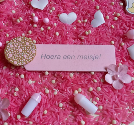 Speelset Het is een Meisje!