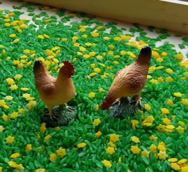 Speelrijst Groen met Narcissen 300 gr.
