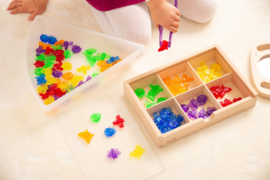 Tickit Doorschijnende Gekleurde Insecten 24 st. Rainbow