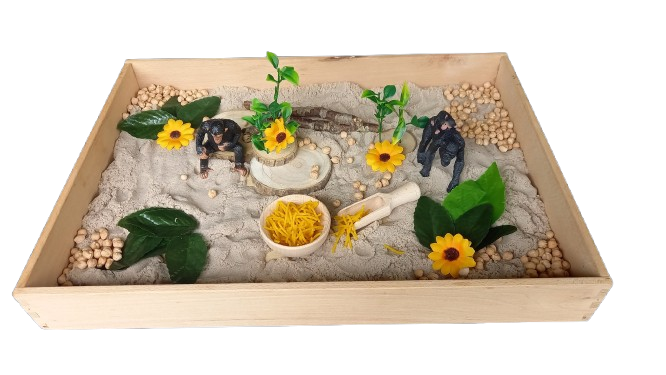 Complete Sensorische Speelset Avontuur bij de Chimpansees