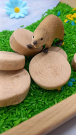 Complete Sensorische Speelset Bevers