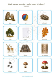 PDF Maak nieuwe woorden - Samenstellingen 72 kaartjes Herfst (Najaar)